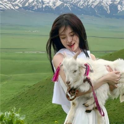 太空熊猫英雄归来