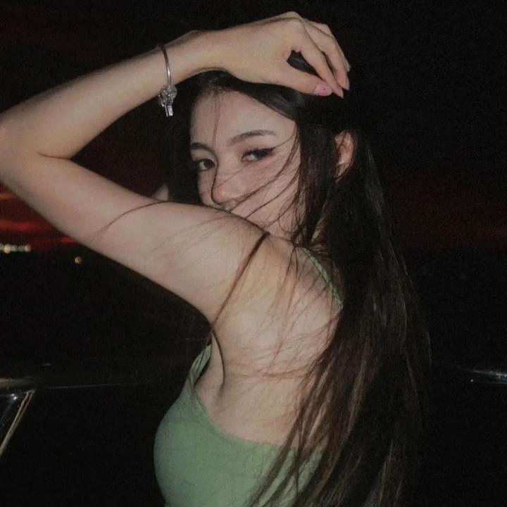 光荣之路上的狗